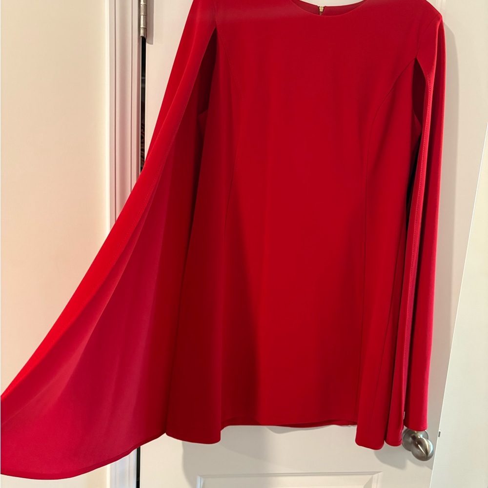 Calvin Klein Vibrant Cape Dress